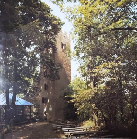 Věž hradu vznikla až v roce 1848, kdy došlo k opravě zříceniny v duchu romantismu