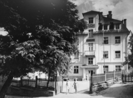Hotel Psohlavec ve Valše