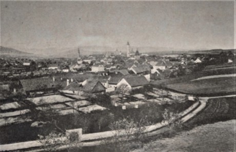 V roce 1895