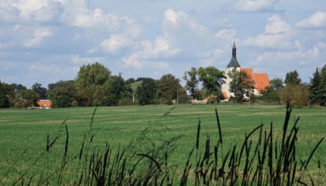 Pohled z obory na kostel Všech svatých v Horšově