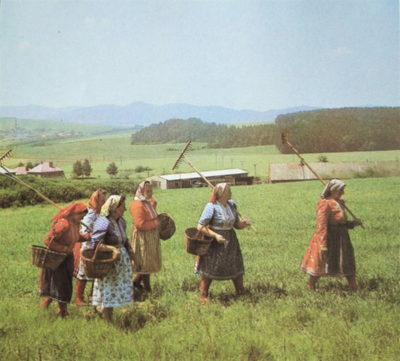 Z Chodska, nedatováno