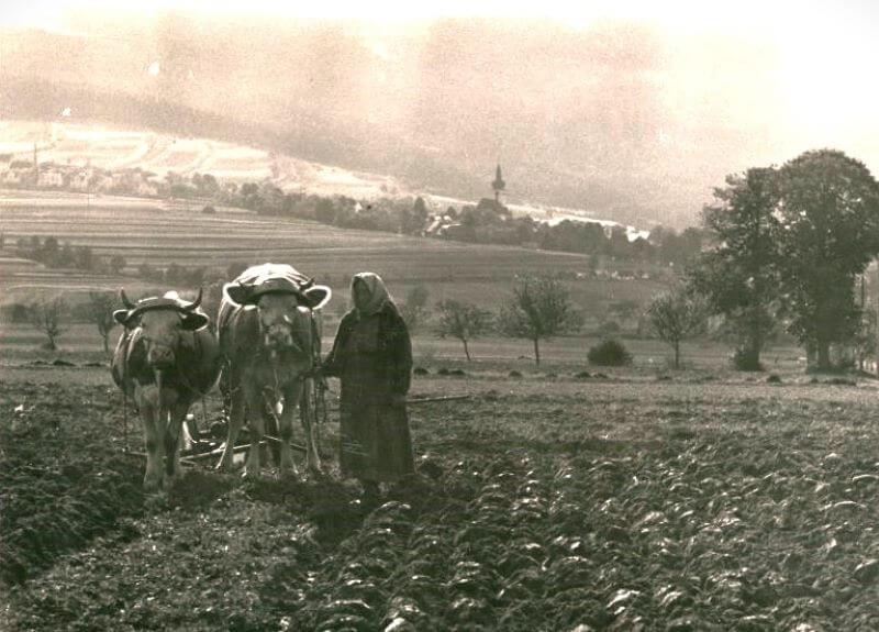 Podzimní orba - v pozadí Klenčí p.Č.