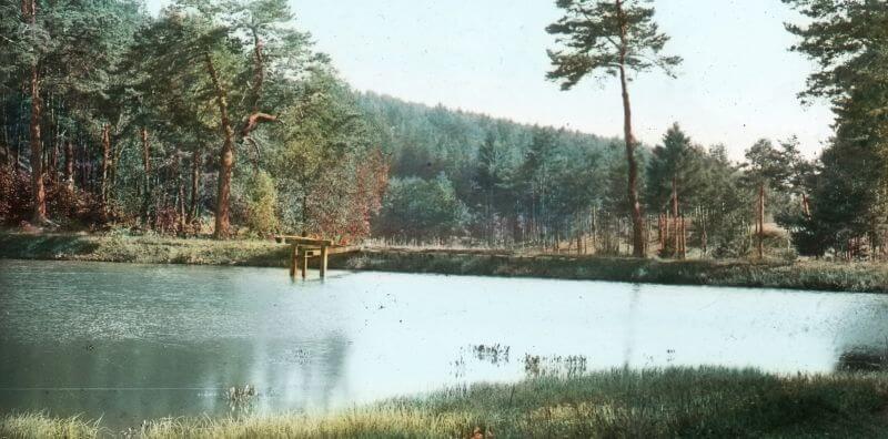 Černý rybník 
