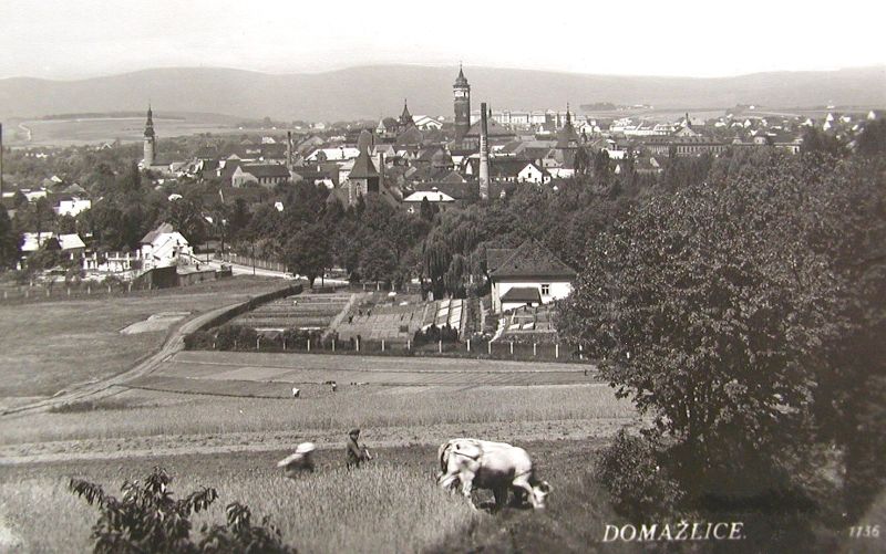 Celkový pohled na město - v popředí dnešní Chrastavická ulice a nejspíše nějaké zahradnictví 