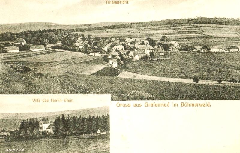 Pohlenice okénková