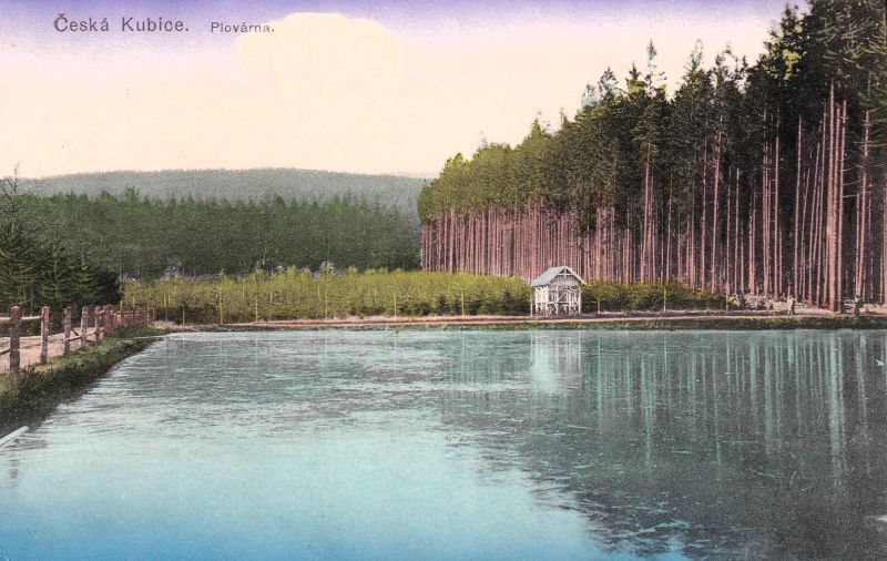 Plovárna (7)