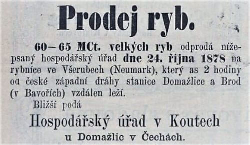 Kout n. Š., prodej ryb